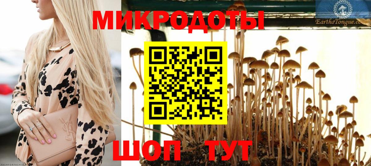 Миасс  купить   Вход с VPN  Галлюциногенные грибы прущие грибы  Псилоцибиновые грибы GOLDEN TEACHER 