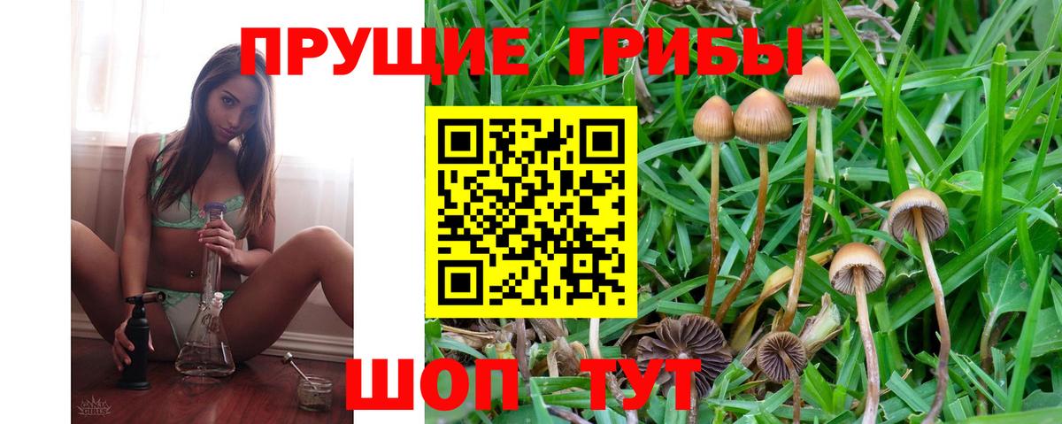 Псилоцибиновые грибы мухоморы Миасс